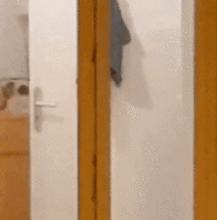 Exhibitionist neighbor