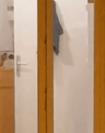 Exhibitionist neighbor